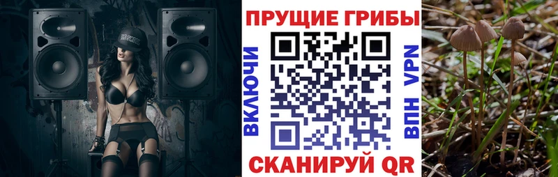 гидра   Лесной  Галлюциногенные грибы Cubensis 